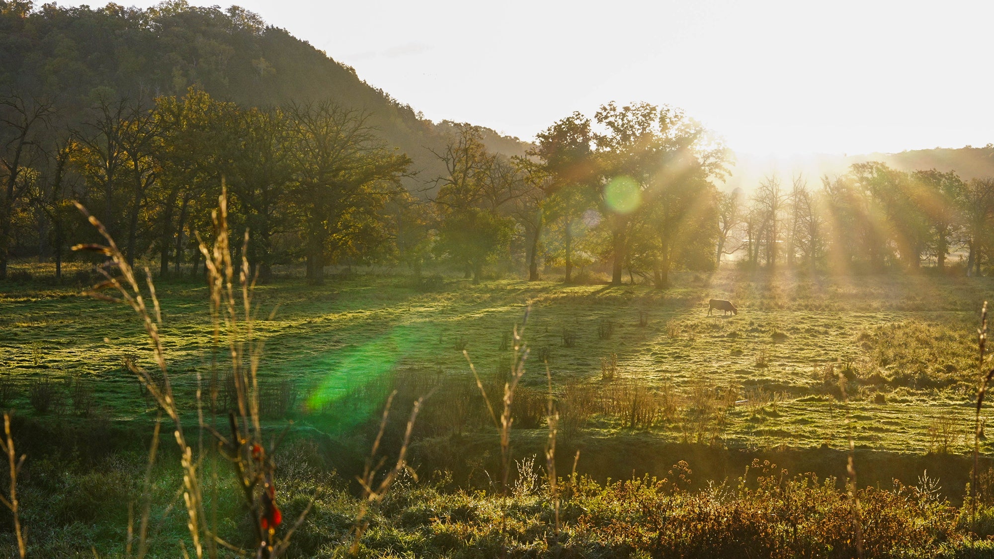 HallofFameBeef-8.jpg__PID:6a95f944-573c-4c71-bba1-bd63ef7c38ad